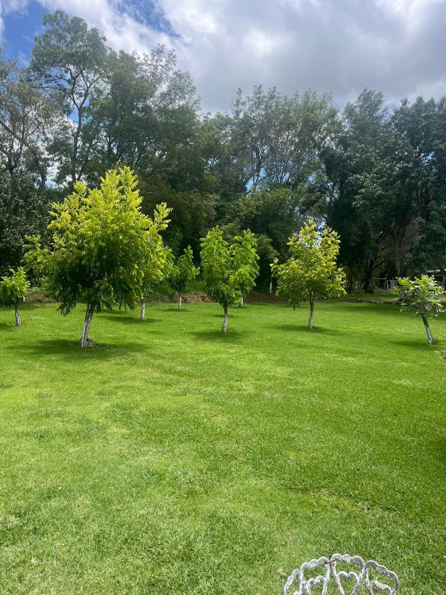 Cabanas Cumbres De Aguacatitla Huasca de Ocampo Eksteriør billede