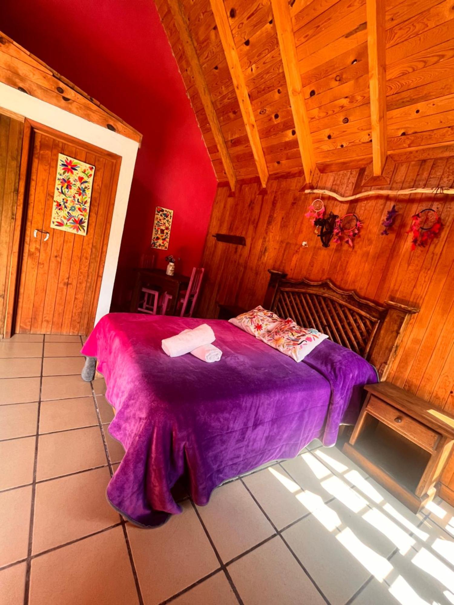 Cabanas Cumbres De Aguacatitla Huasca de Ocampo Eksteriør billede