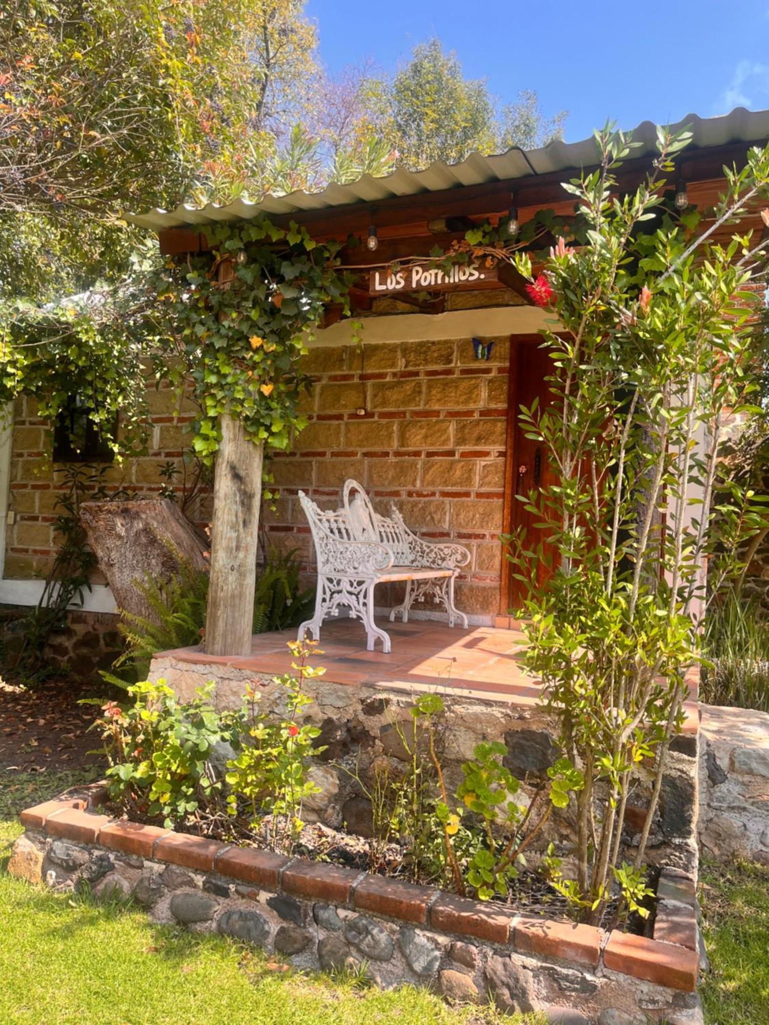 Cabanas Cumbres De Aguacatitla Huasca de Ocampo Eksteriør billede
