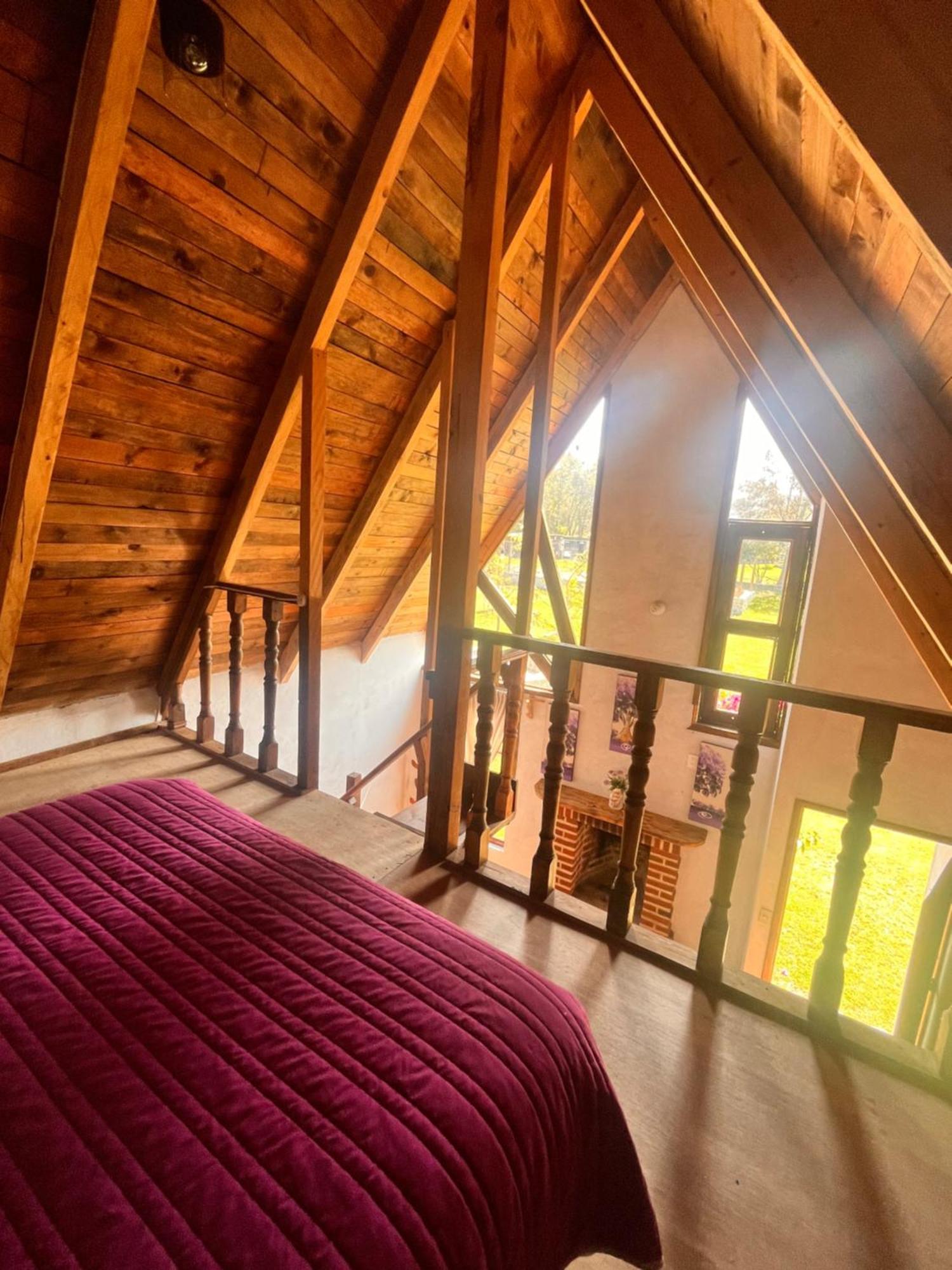 Cabanas Cumbres De Aguacatitla Huasca de Ocampo Eksteriør billede