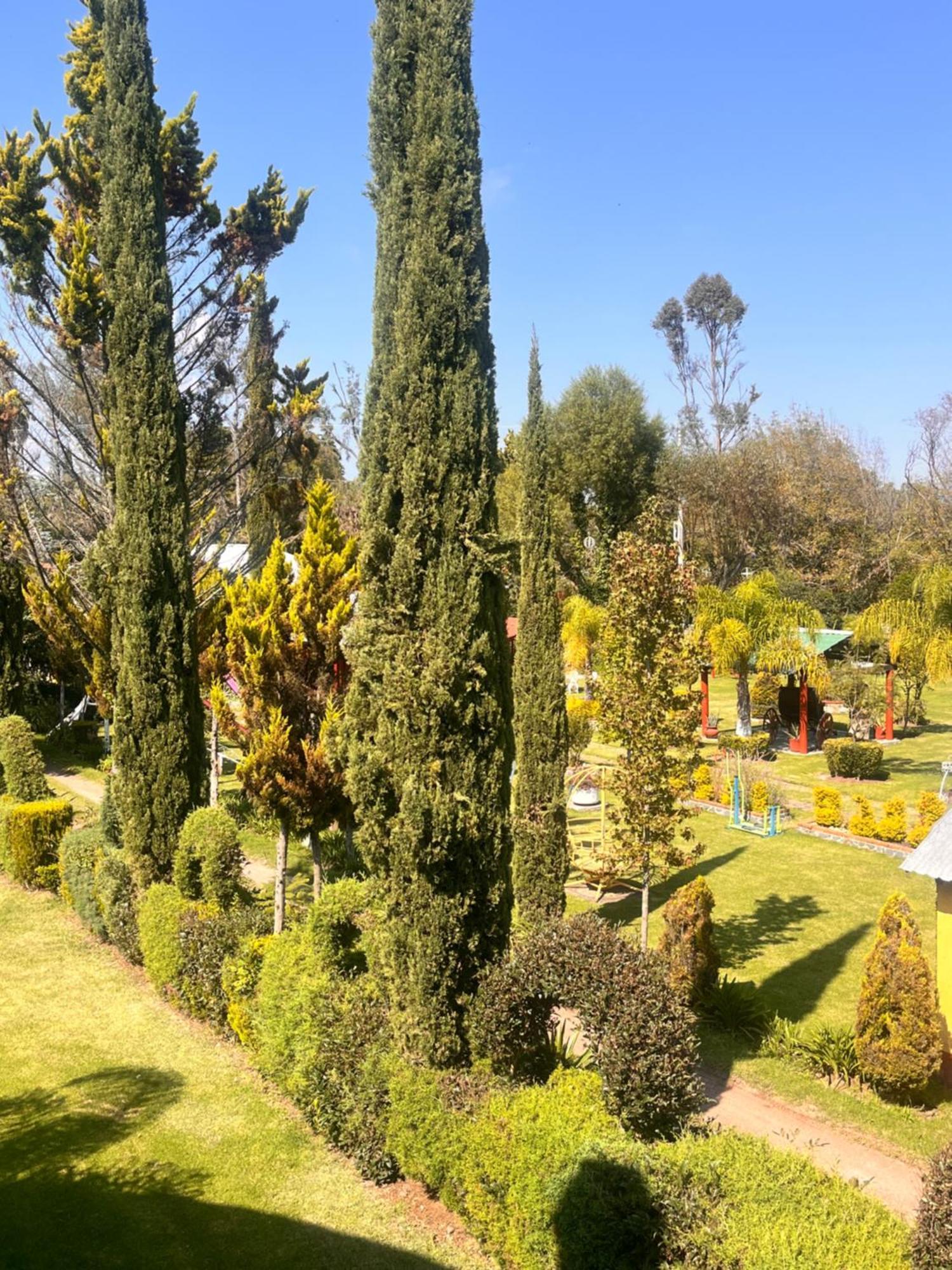 Cabanas Cumbres De Aguacatitla Huasca de Ocampo Eksteriør billede
