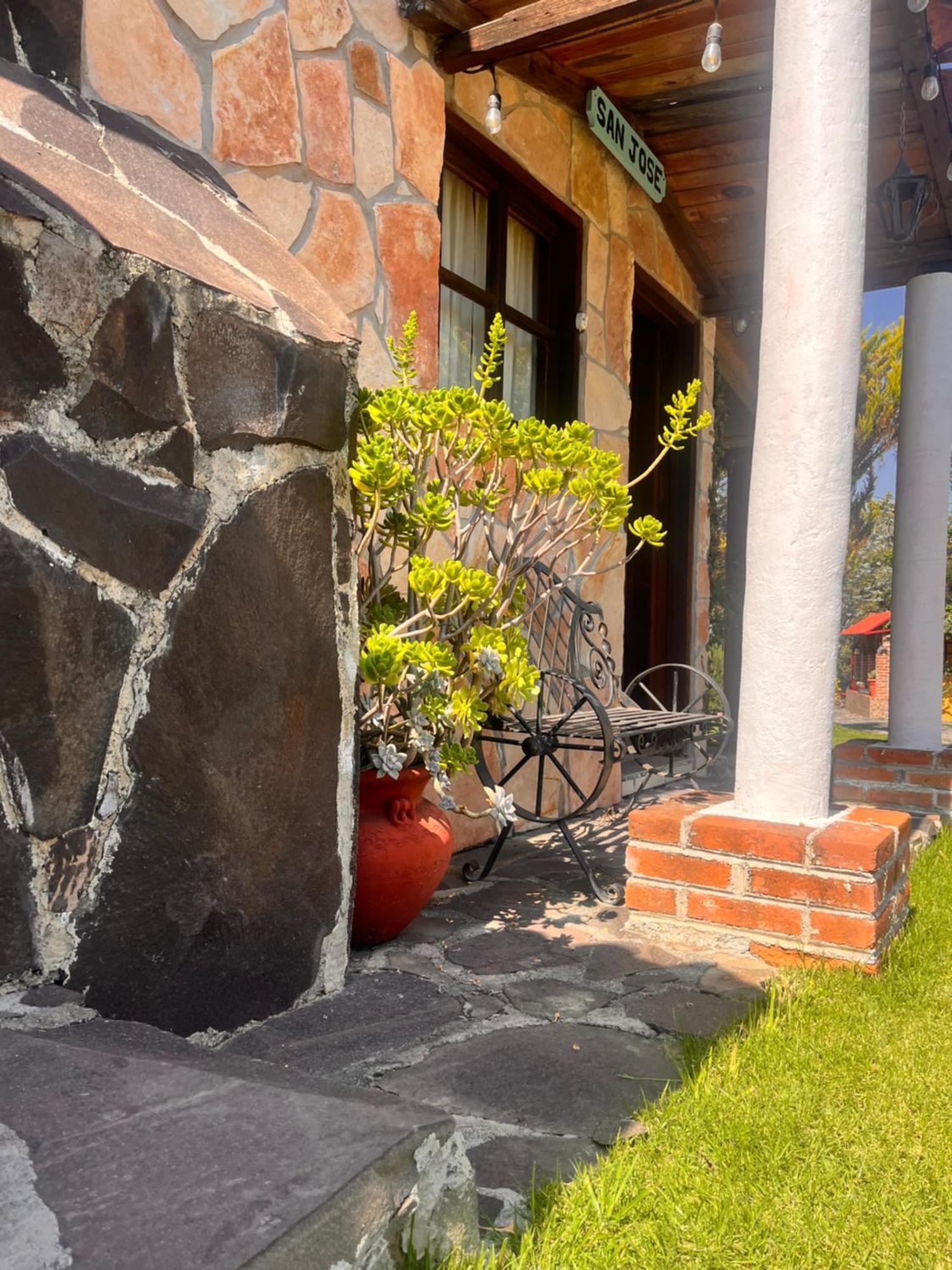 Cabanas Cumbres De Aguacatitla Huasca de Ocampo Eksteriør billede