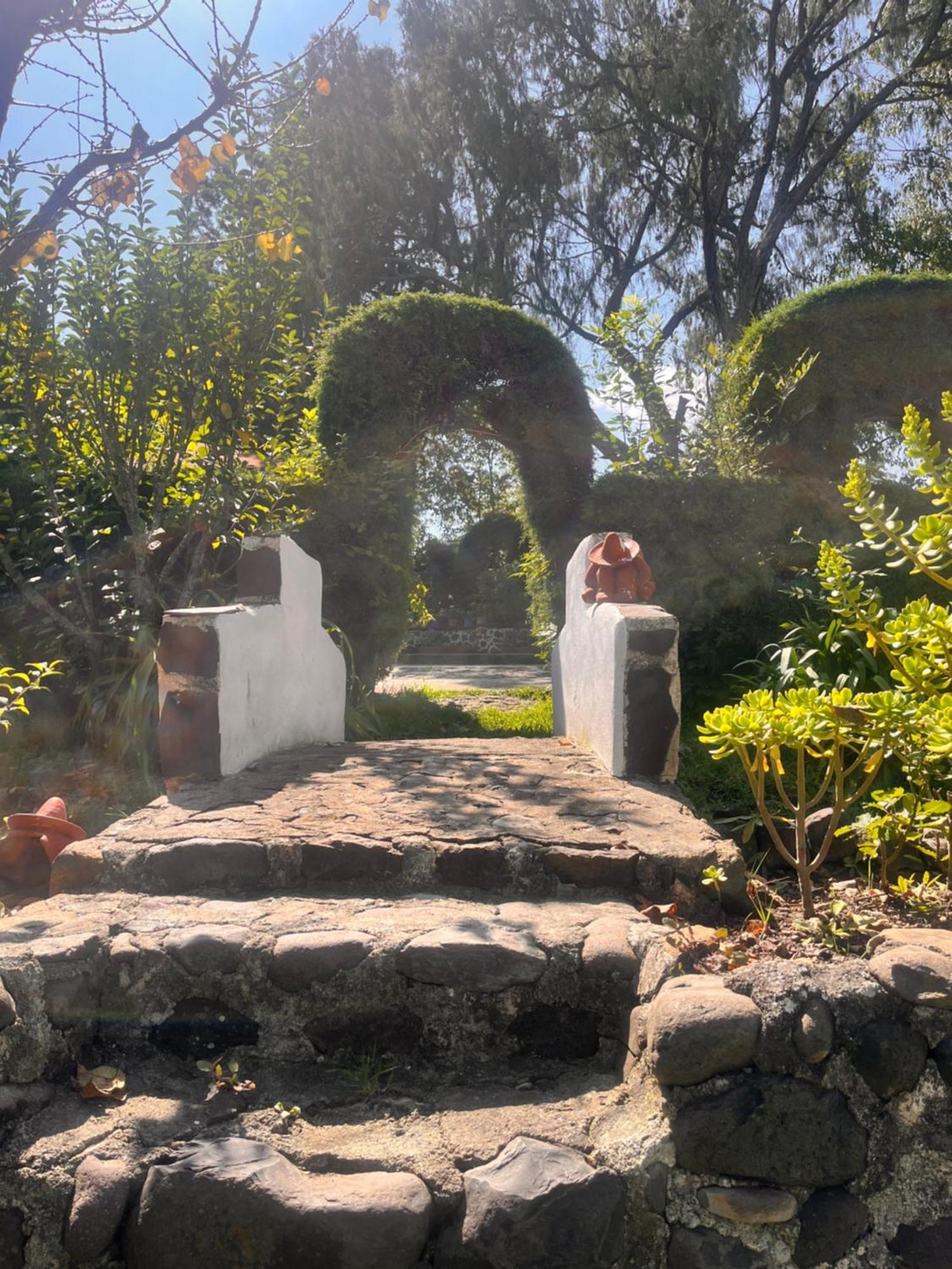 Cabanas Cumbres De Aguacatitla Huasca de Ocampo Eksteriør billede