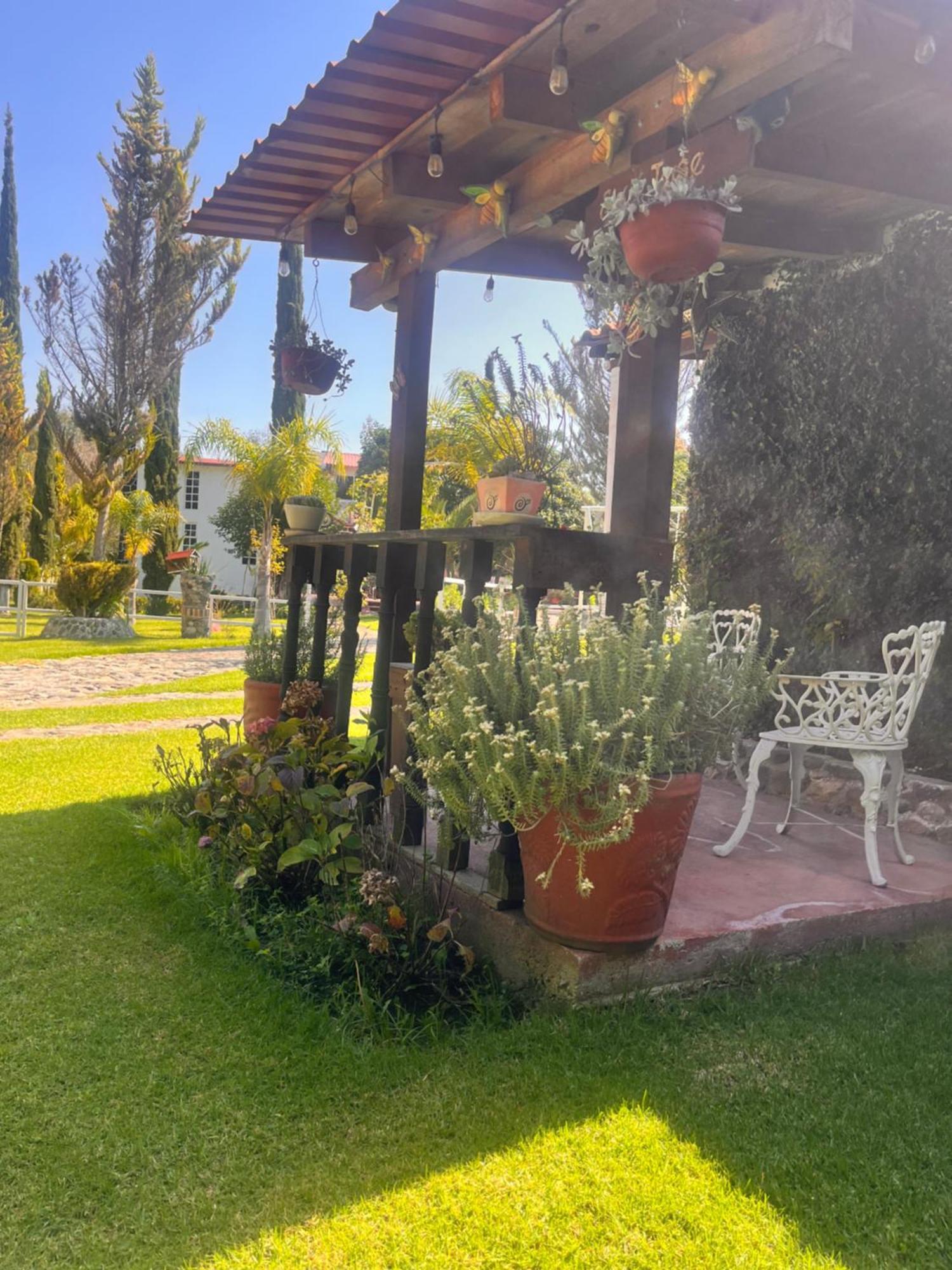 Cabanas Cumbres De Aguacatitla Huasca de Ocampo Eksteriør billede