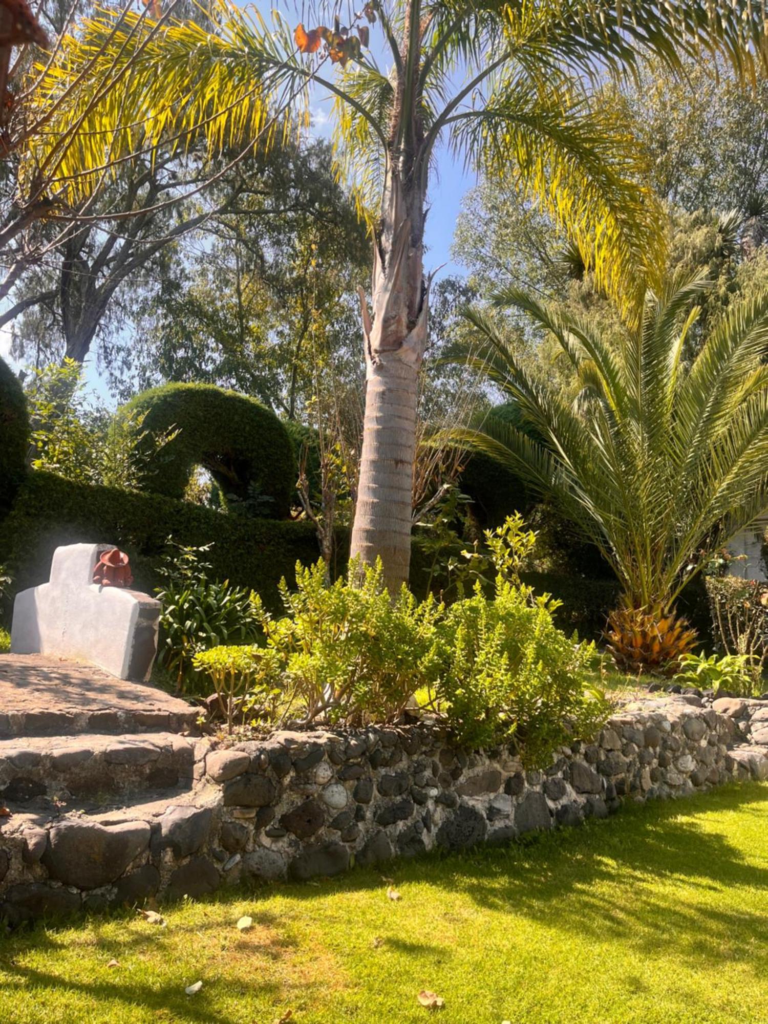 Cabanas Cumbres De Aguacatitla Huasca de Ocampo Eksteriør billede