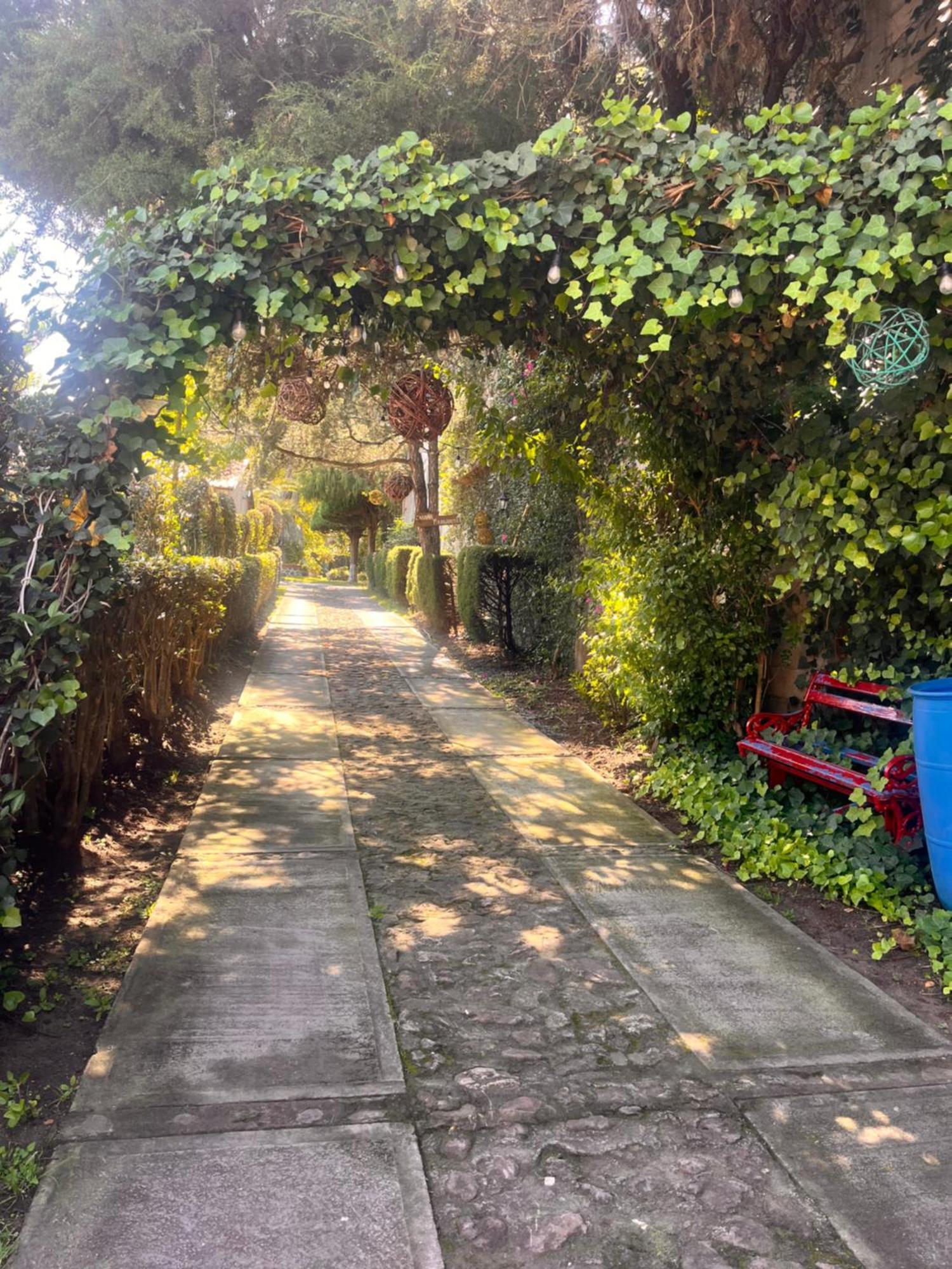 Cabanas Cumbres De Aguacatitla Huasca de Ocampo Eksteriør billede