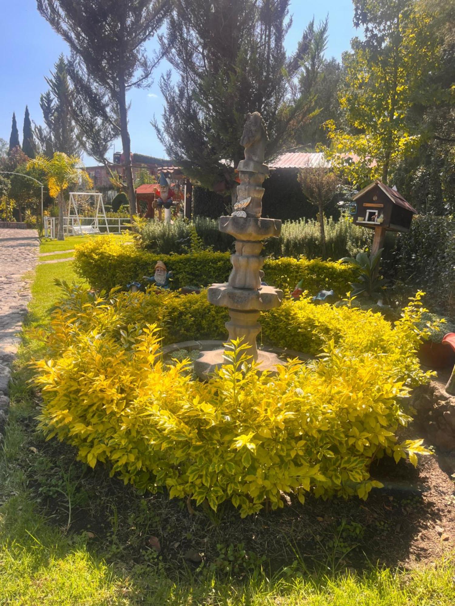 Cabanas Cumbres De Aguacatitla Huasca de Ocampo Eksteriør billede