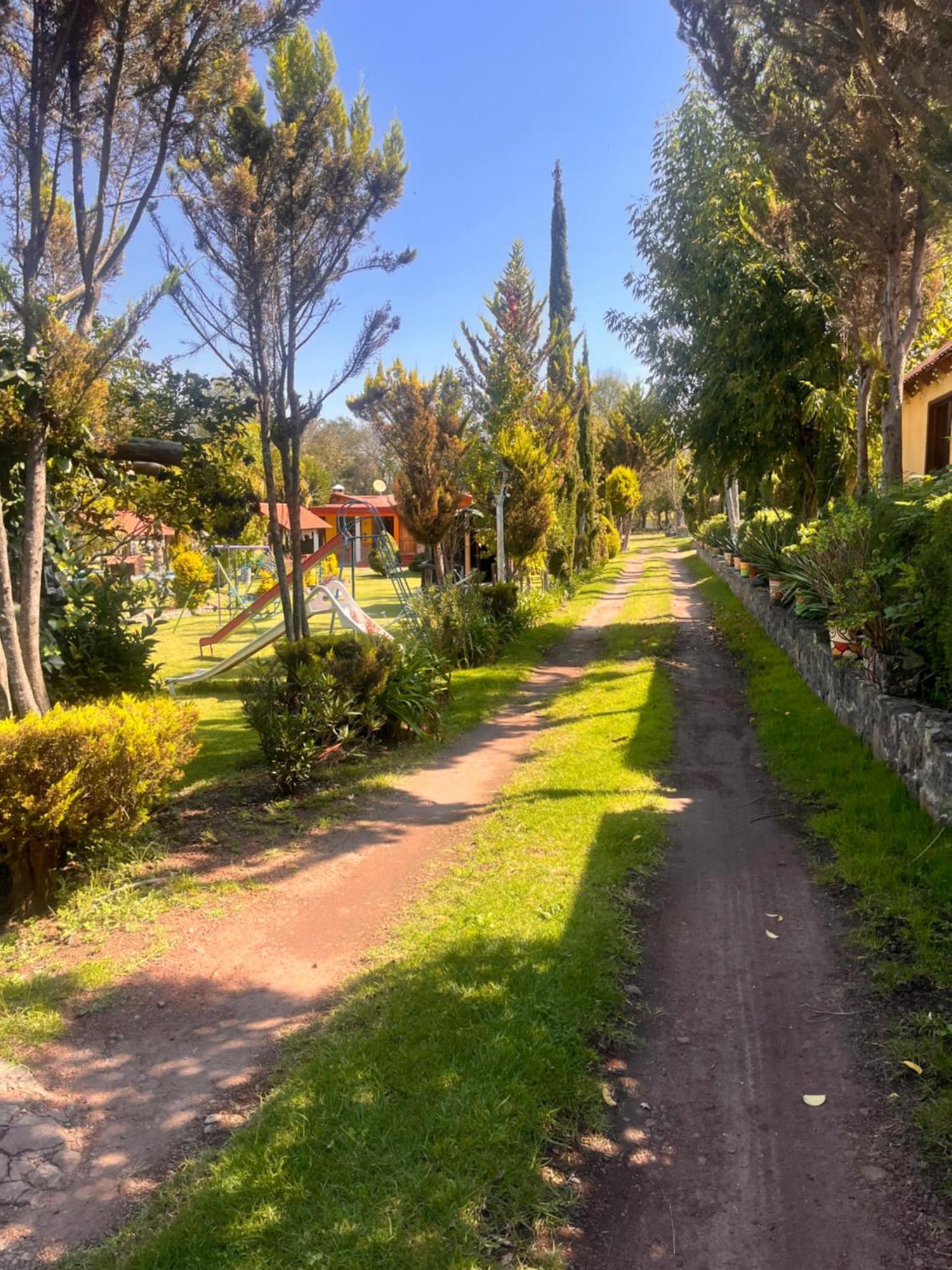 Cabanas Cumbres De Aguacatitla Huasca de Ocampo Eksteriør billede