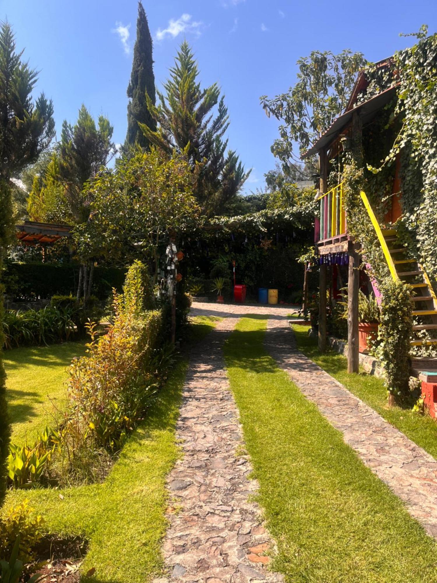 Cabanas Cumbres De Aguacatitla Huasca de Ocampo Eksteriør billede