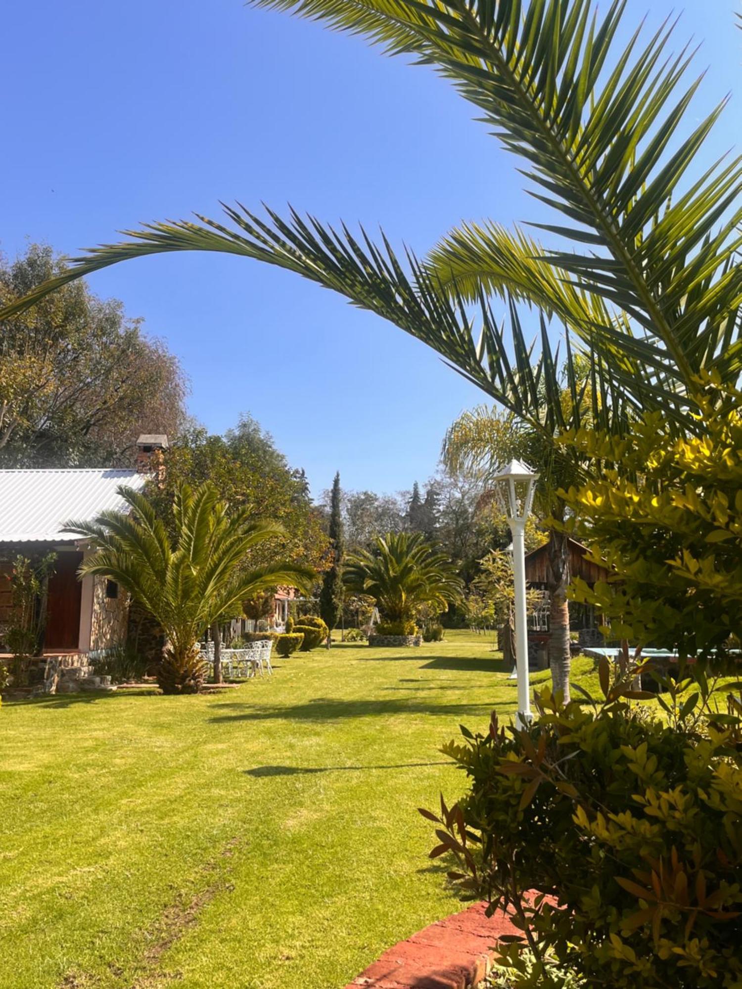 Cabanas Cumbres De Aguacatitla Huasca de Ocampo Eksteriør billede