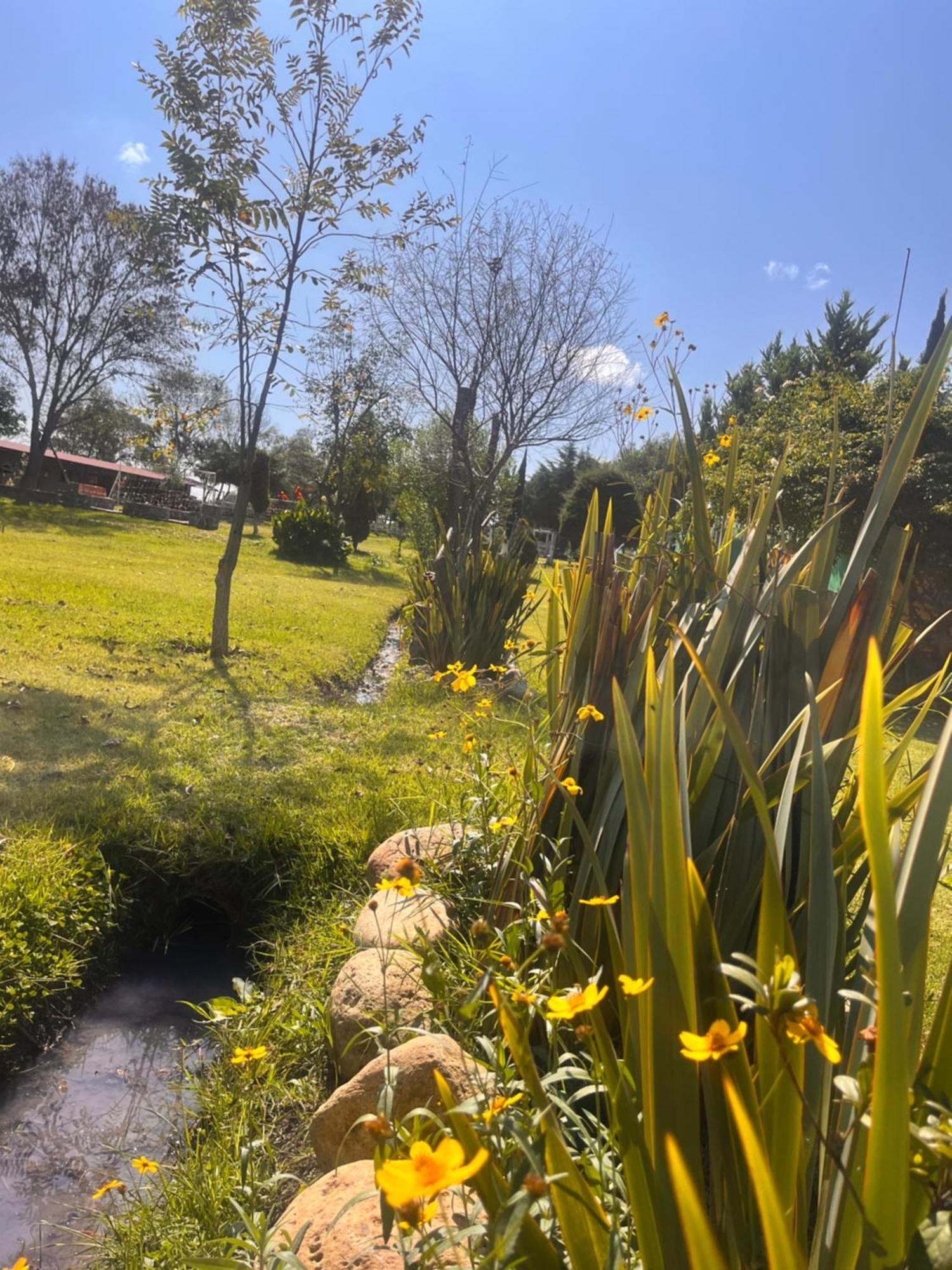 Cabanas Cumbres De Aguacatitla Huasca de Ocampo Eksteriør billede