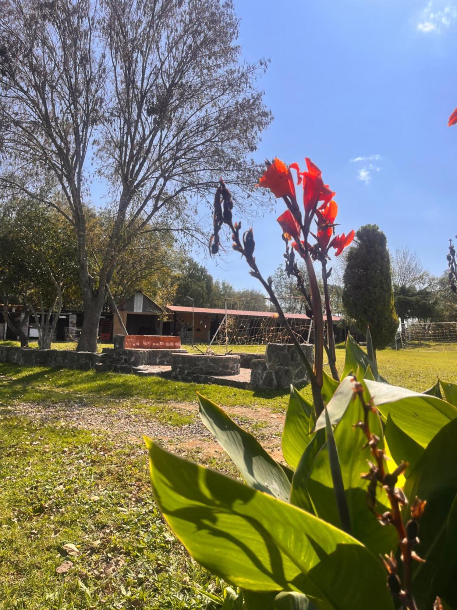 Cabanas Cumbres De Aguacatitla Huasca de Ocampo Eksteriør billede