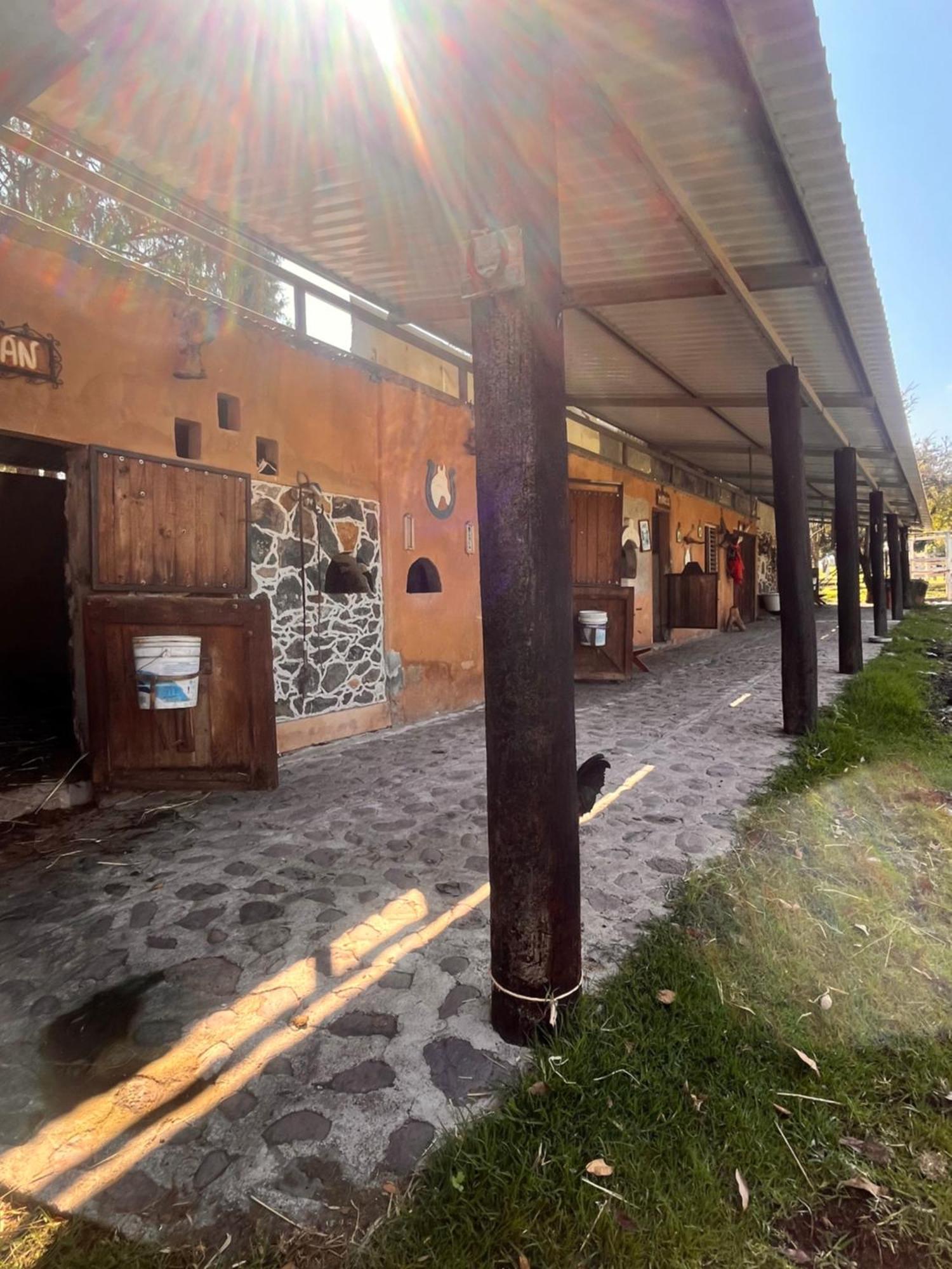 Cabanas Cumbres De Aguacatitla Huasca de Ocampo Eksteriør billede