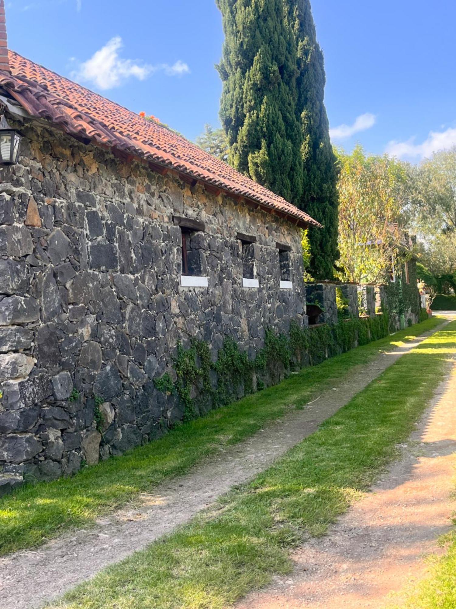 Cabanas Cumbres De Aguacatitla Huasca de Ocampo Eksteriør billede