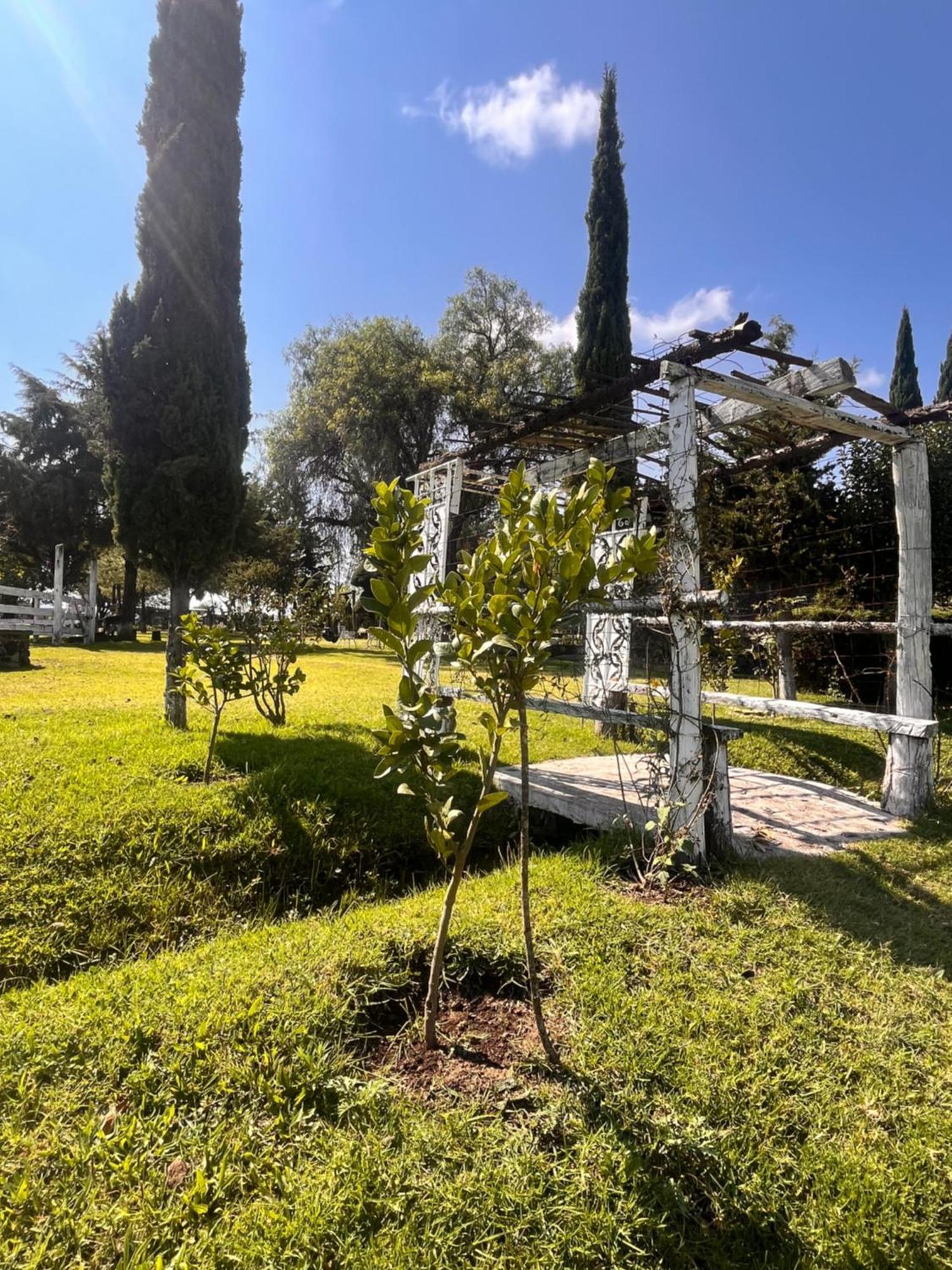 Cabanas Cumbres De Aguacatitla Huasca de Ocampo Eksteriør billede