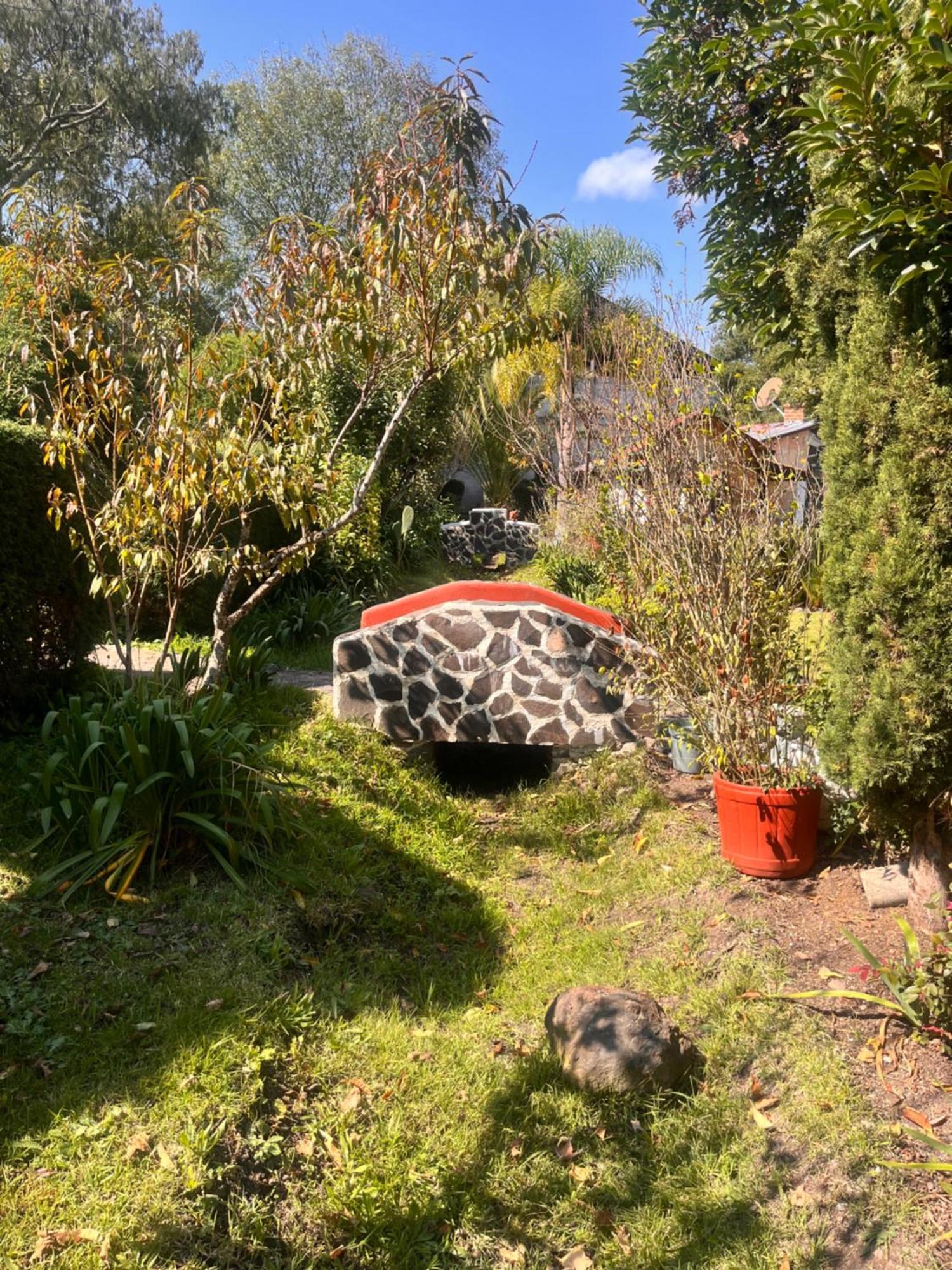 Cabanas Cumbres De Aguacatitla Huasca de Ocampo Eksteriør billede