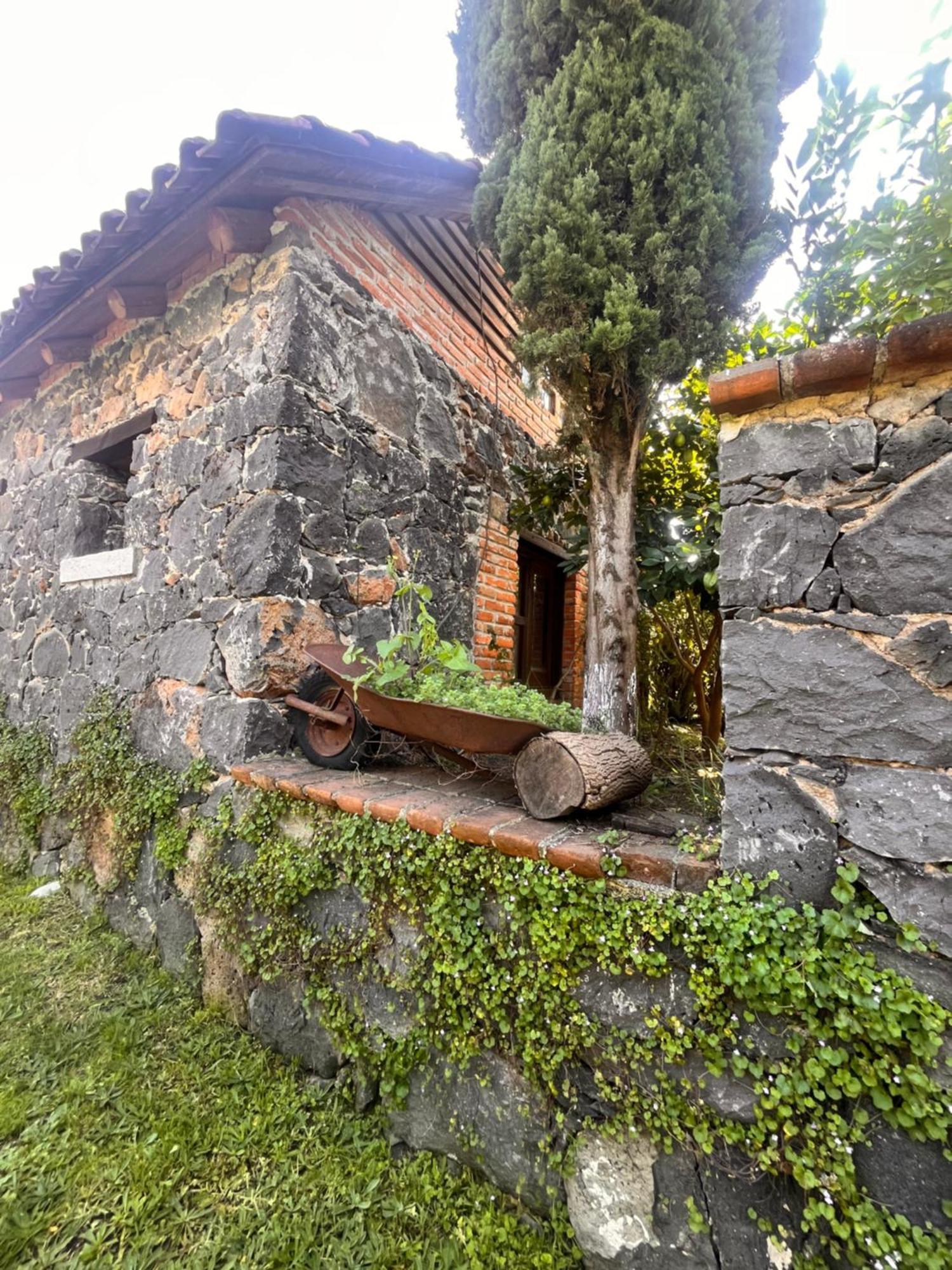 Cabanas Cumbres De Aguacatitla Huasca de Ocampo Eksteriør billede