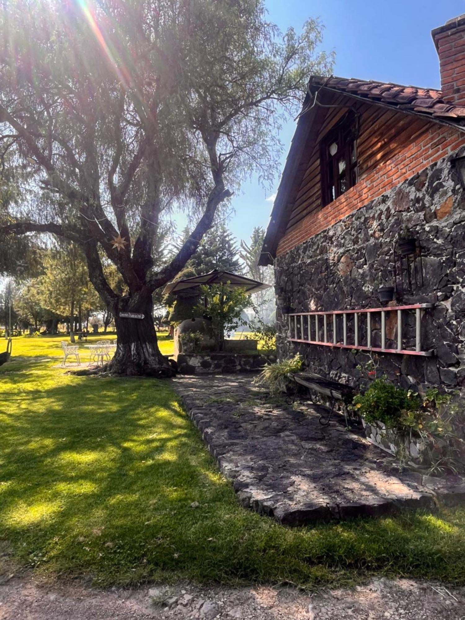 Cabanas Cumbres De Aguacatitla Huasca de Ocampo Eksteriør billede