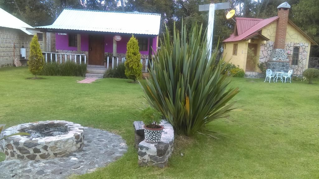 Cabanas Cumbres De Aguacatitla Villa Huasca de Ocampo Eksteriør billede